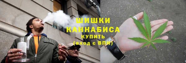 сатива Балабаново